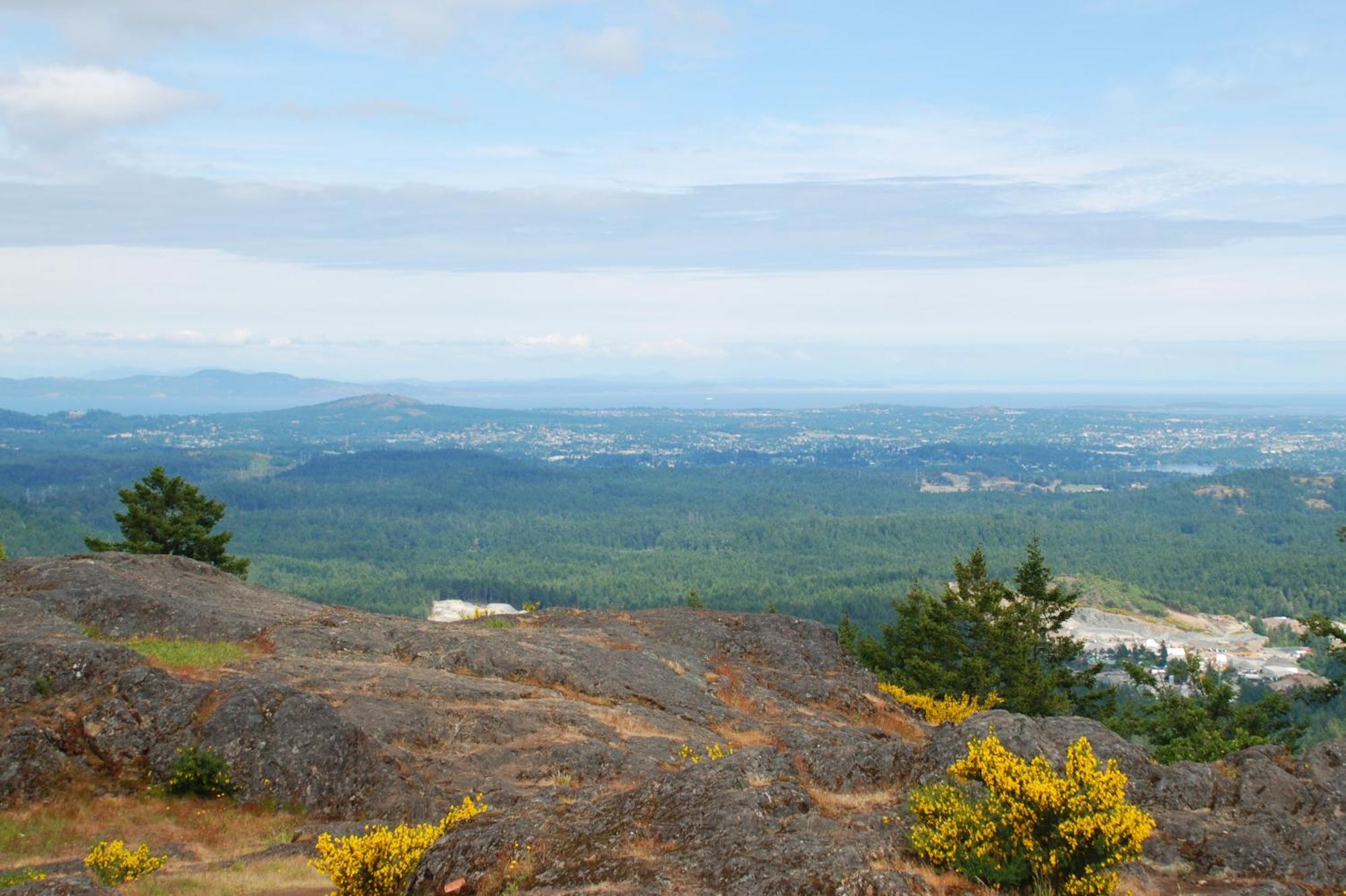 Shawnigan Suite B & B Shawnigan Lake Ngoại thất bức ảnh