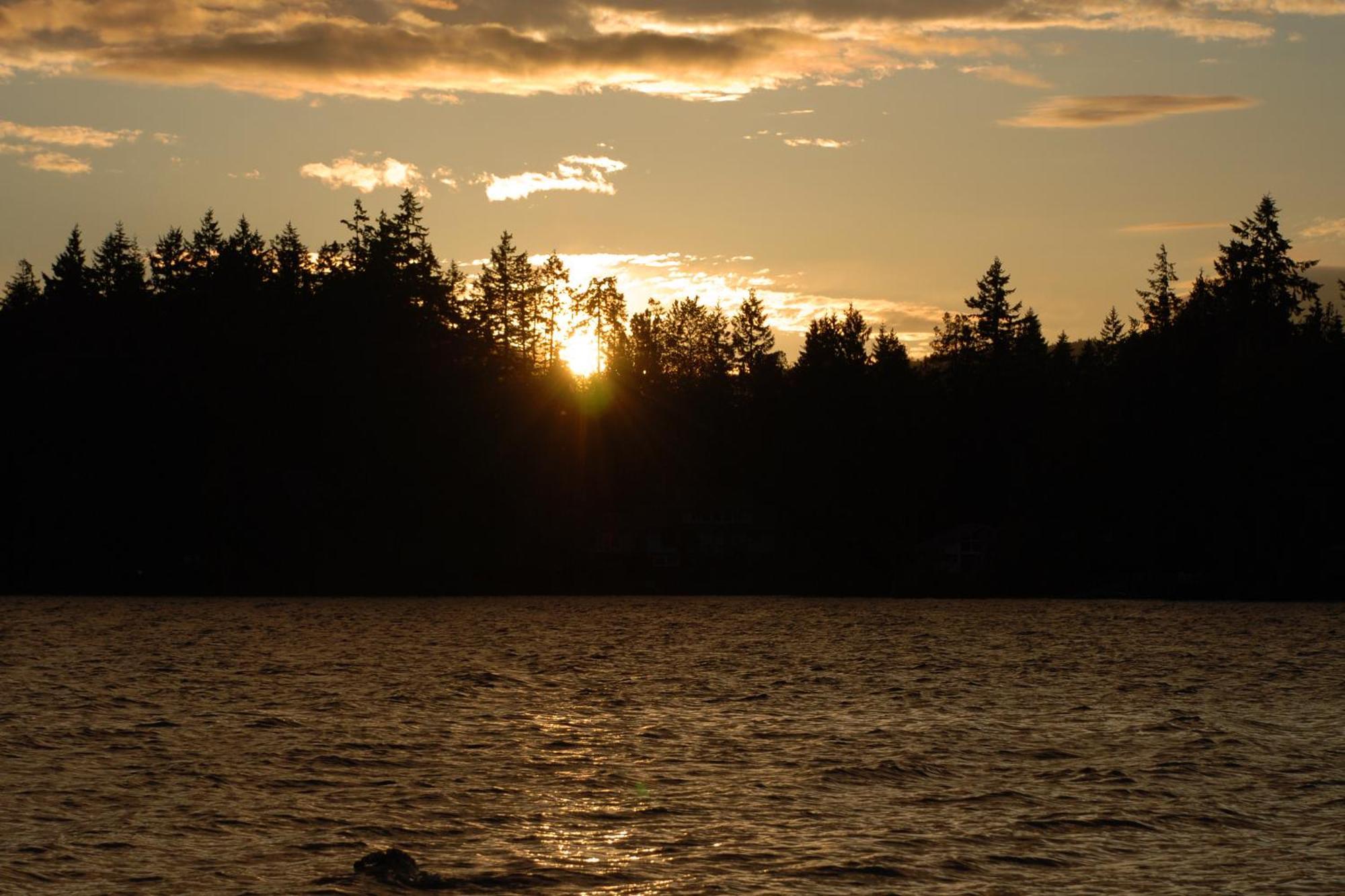 Shawnigan Suite B & B Shawnigan Lake Ngoại thất bức ảnh